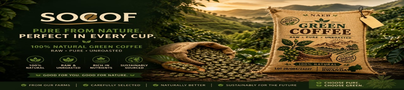 Green Coffee Beans