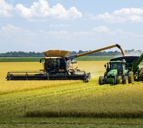 Agricultural Commodities
