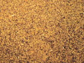 Animal Feed