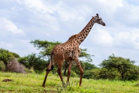Tourism And Hospitality